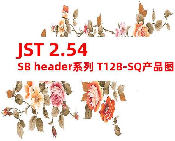 JST 2.54SB header系列 T12B-SQ产品图纸